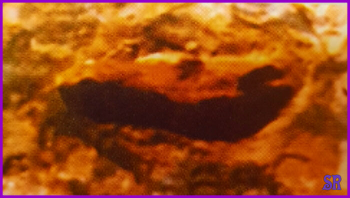 Самый древний обнаруженный след, датируется 3.6 млн лет назад