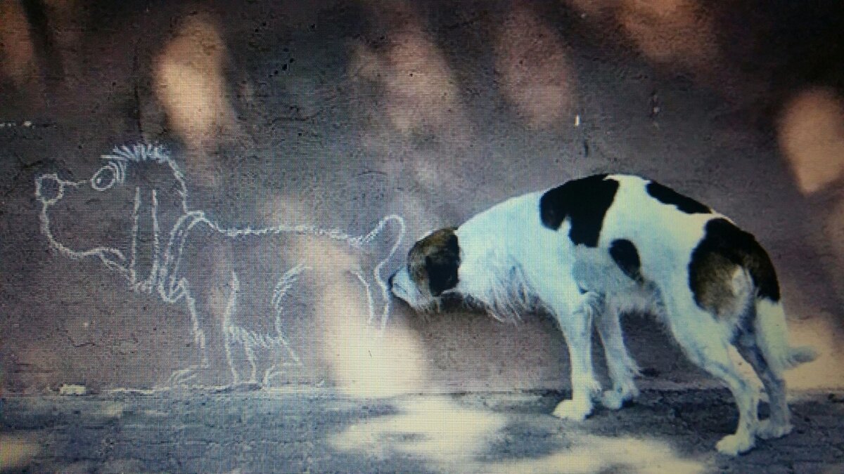 Собака нюхает другую под хвостом. Карикатура