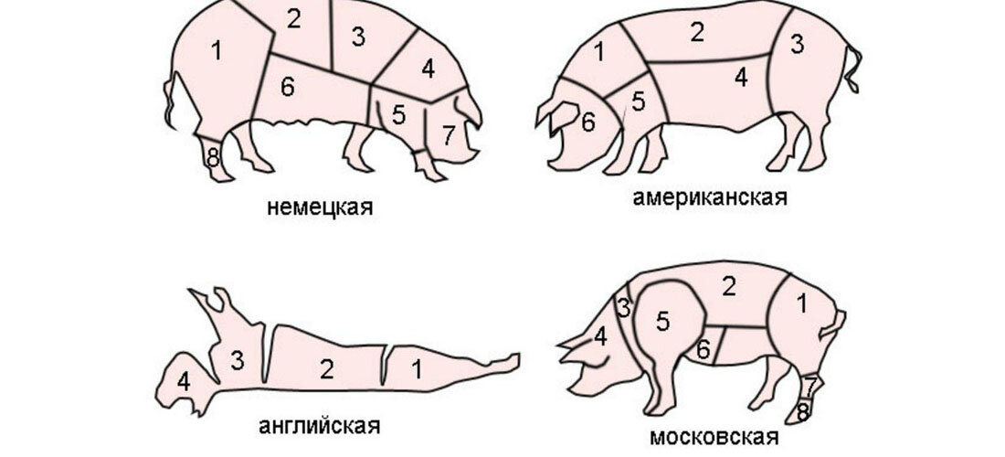 Разделка свиной туши с описанием частей