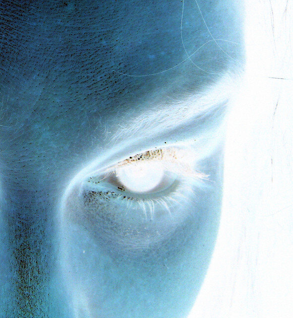 Фото: Jennifer Gensch