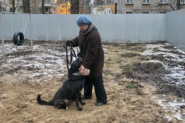 На занятиях с кинологом в Приюте Полянка