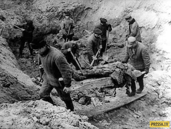 Источник фото: https://pressa.tv/foto/58886-uzhasnye-fotografii-vremen-vtoroy-mirovoy-voyny-16-foto.html