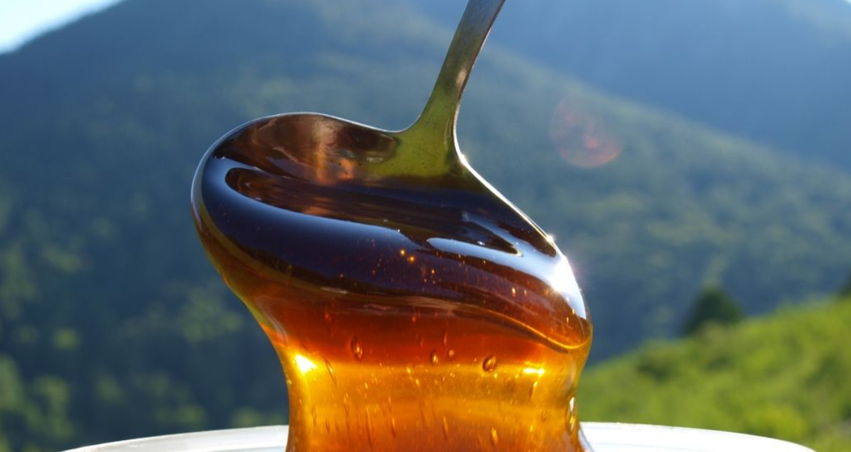 Мёд на природе стекает с ложки с видом на лесные горы