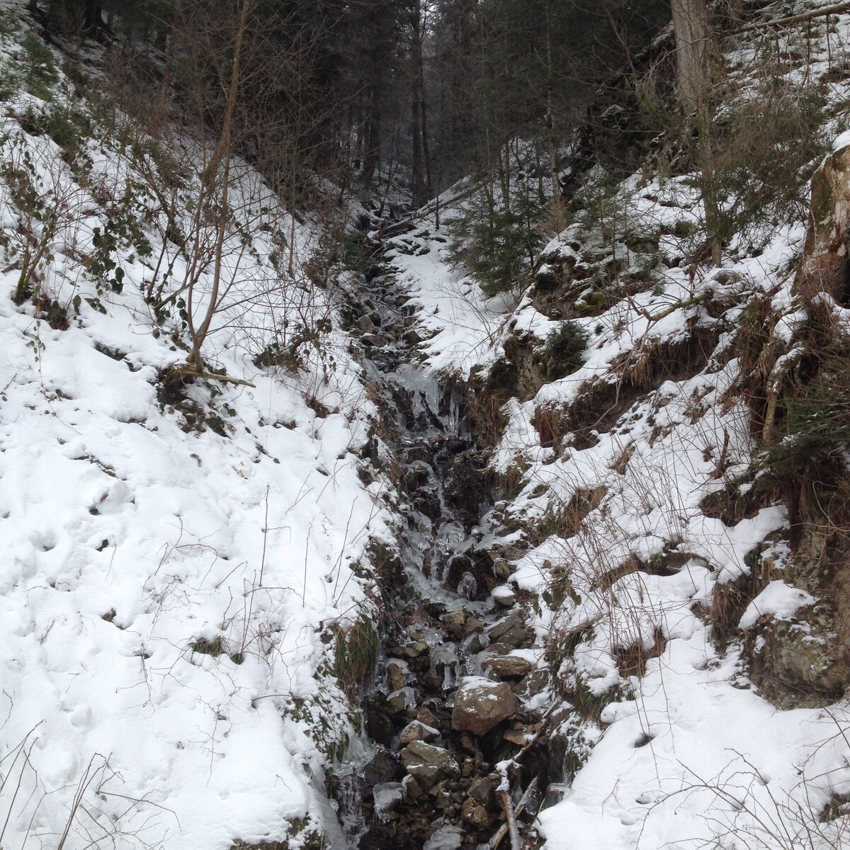 Один из сотни ручьев, питающий летом и зимой Цартенбах.