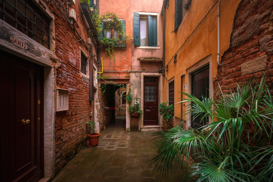 Фото: Альберт Дрос