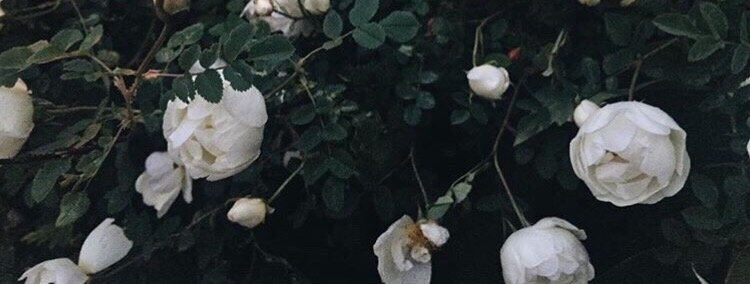 photo by me