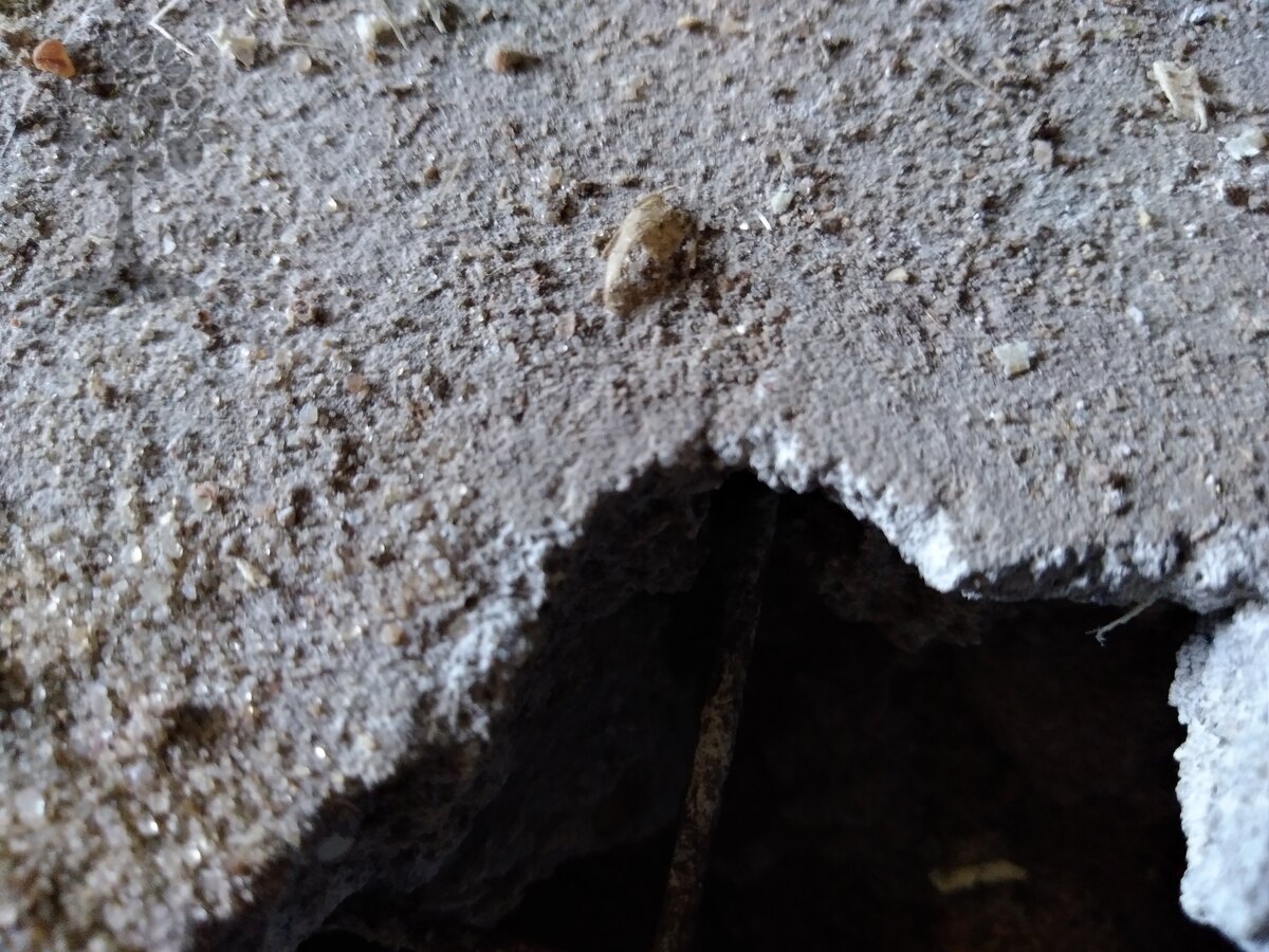 Прогрызть бетон? Не вопрос!!!