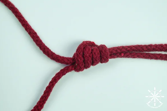 Как выглядит жилковая петля?