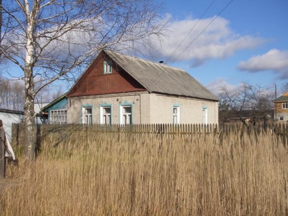 Предназначение дизайна фасадов загородных домов