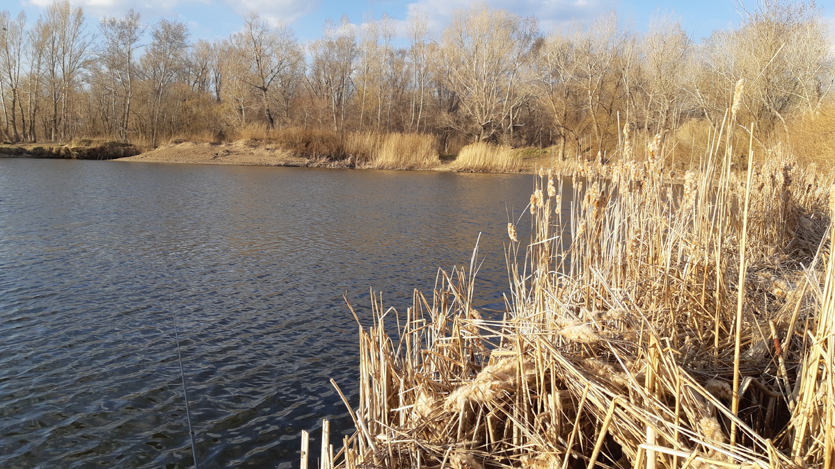 Фото автора канала