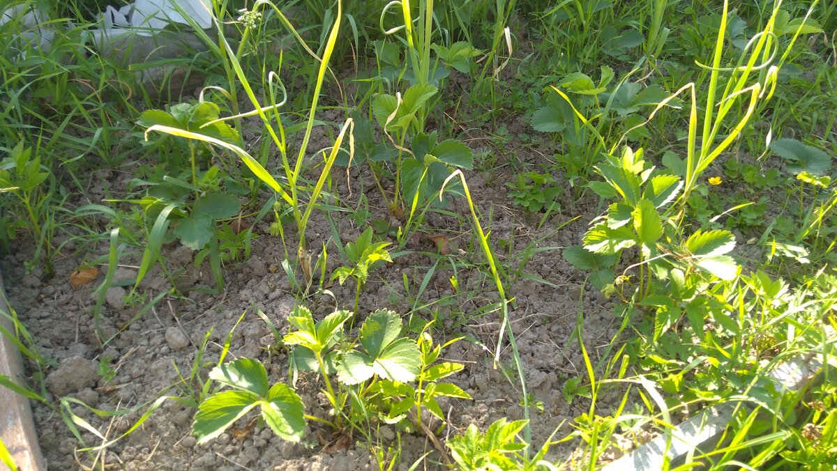 Источник: фото автора