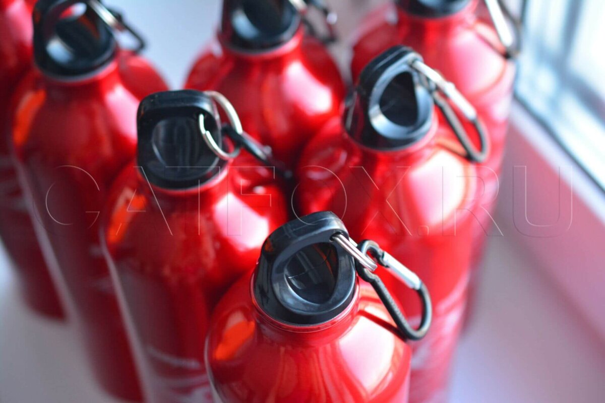 Бутылки для воды с карабином оптом