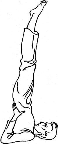 Иллюстрация: выполнение стойки на плечах