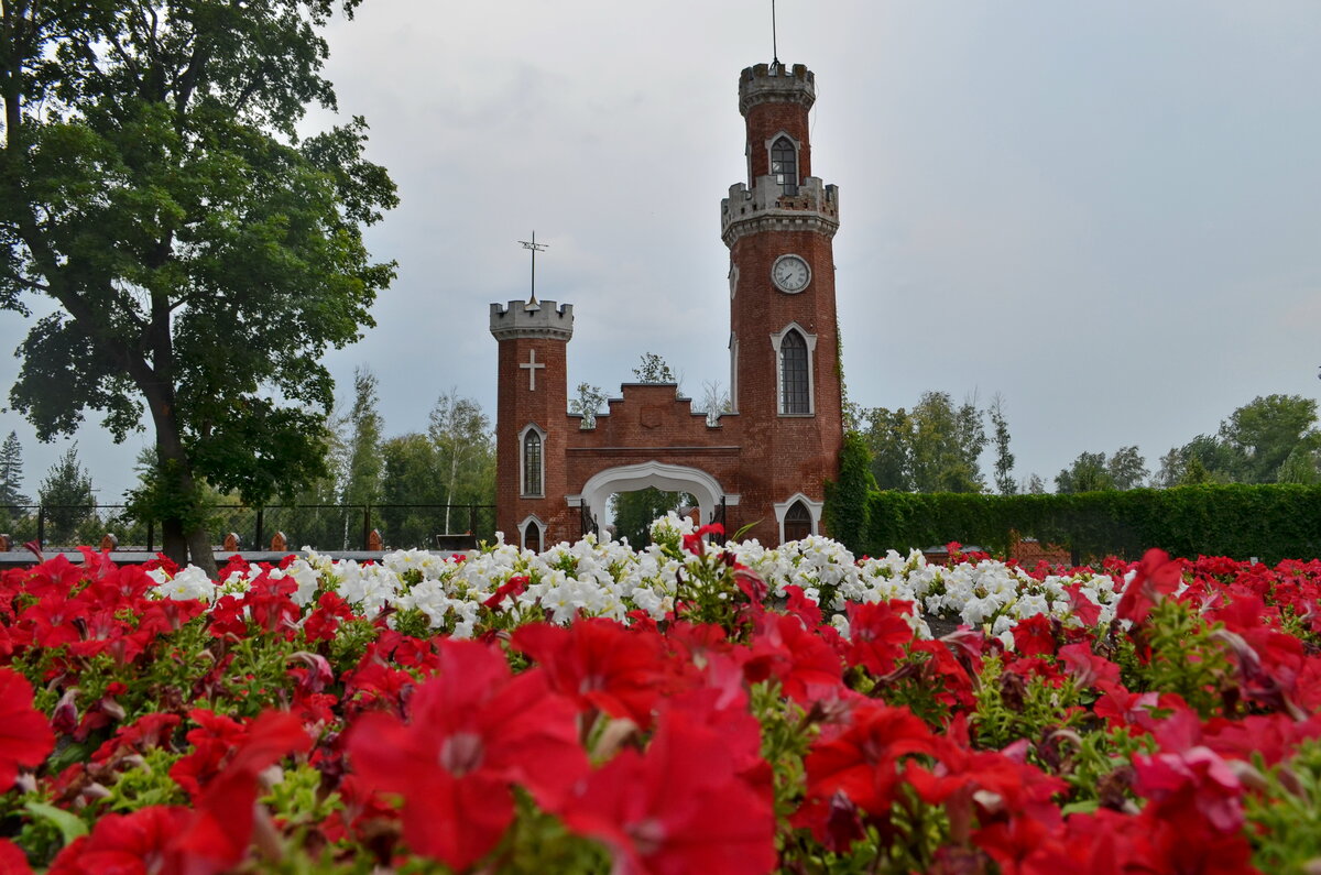 Рамонь советская 1