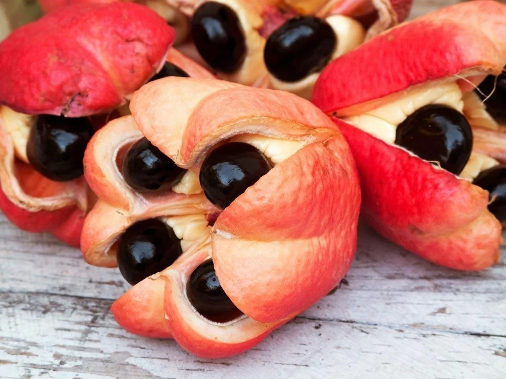 Ужасные фрукты. Фрукт Ackee Ямайка. Аки Блигия. Фрукт аки ядовитый. Плод аки ямайский.