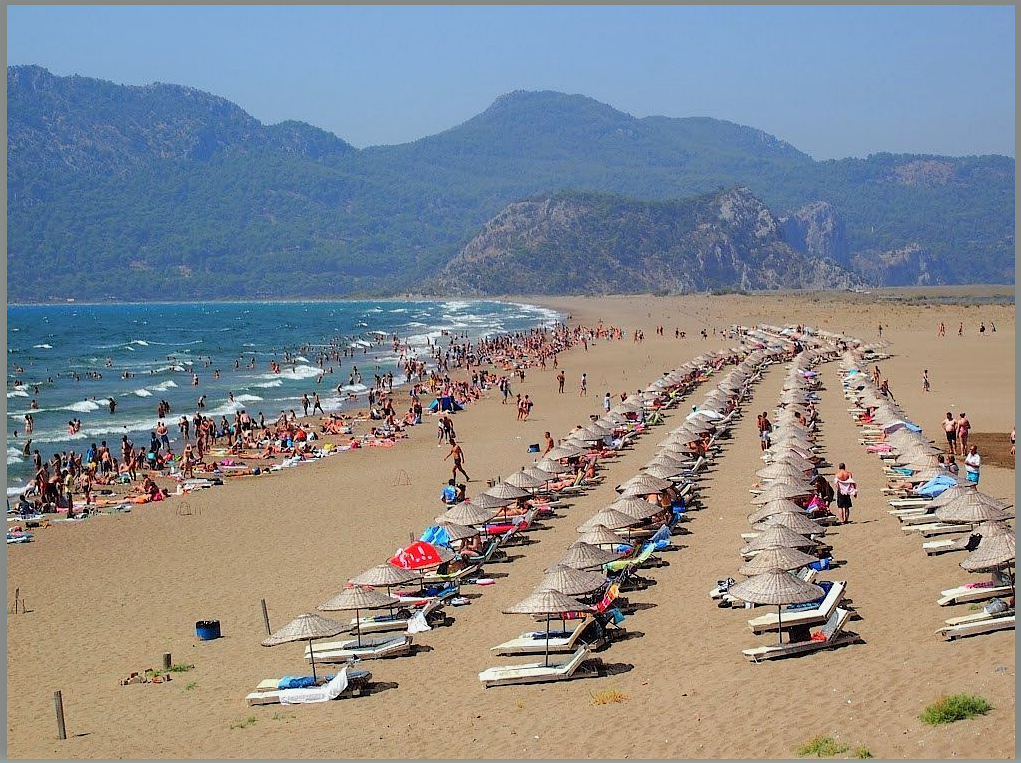 фото из открытых источников yandex.ru