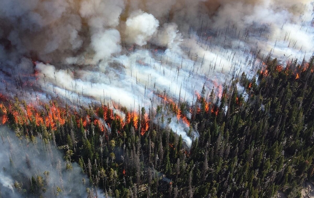 Пожары в Канаде