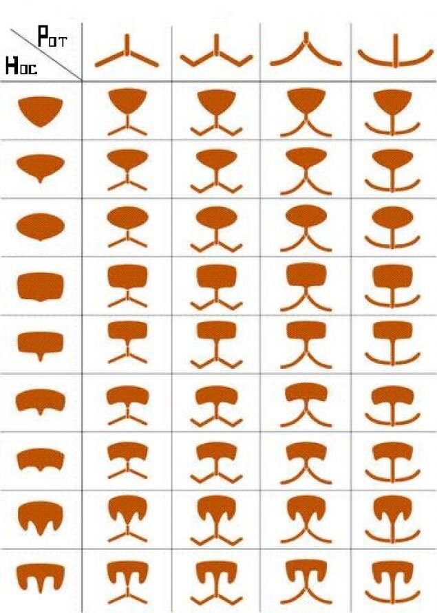 Варианты сочетаний рта и носа