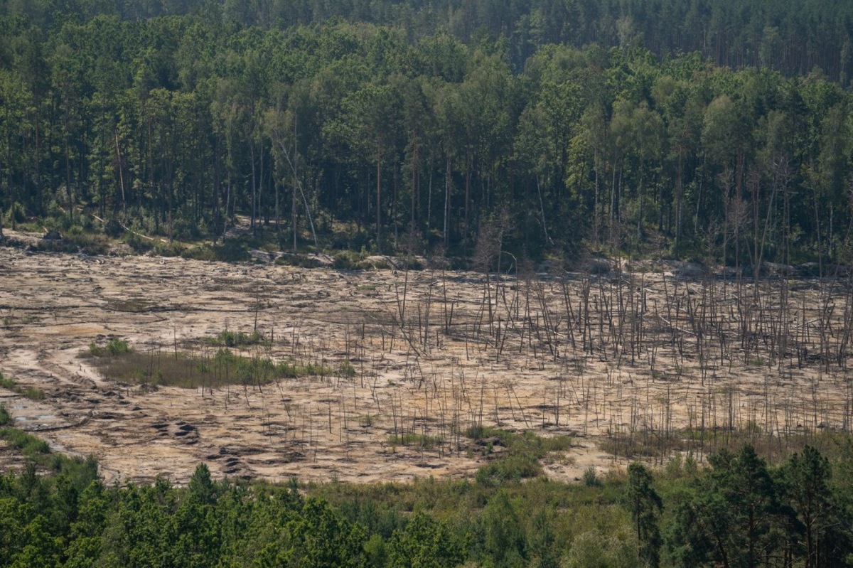 Зеленский: Нелегальная добыча "приобрела масштаб экологического бедствия" / Фото: ОП
