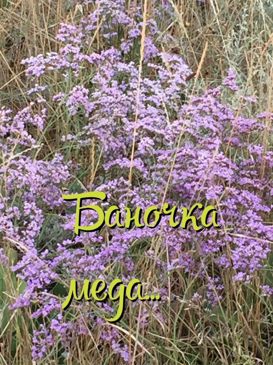 Моя прабабушка в срочном порядке после окончания восьмого класса настояла чтобы меня мои родители отправили учиться в финансовый техникум.Я с детства все считала,с математикой я была на ТЫ.