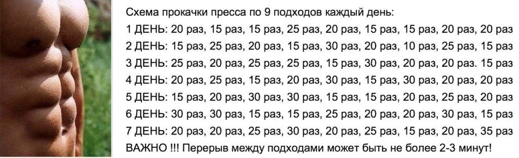 Взял в интернете для наглядности первую попавшуюся схему 😂🤣😂. 