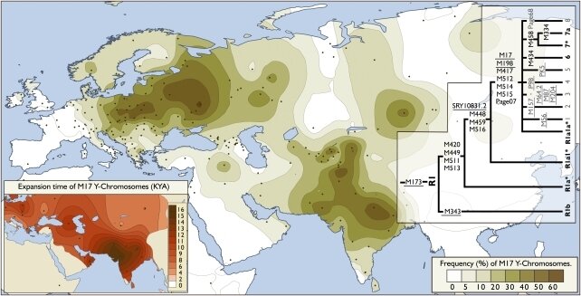 Карта распространенности R1a.