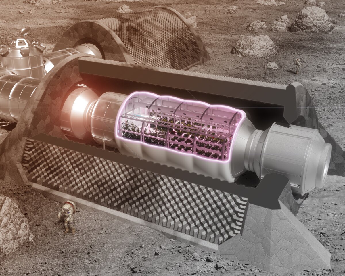 Концепция космической теплицы будущего