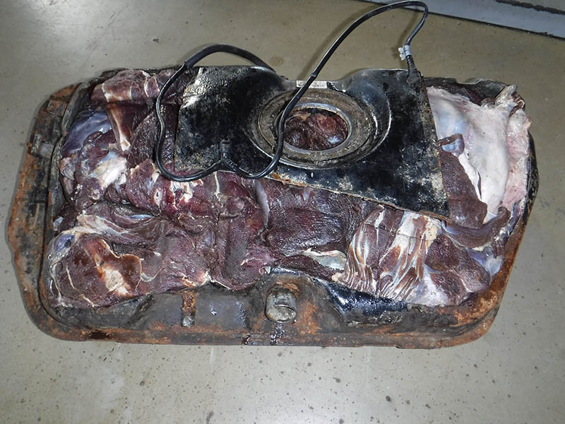 Фото: пресс-служба Сочинской таможни