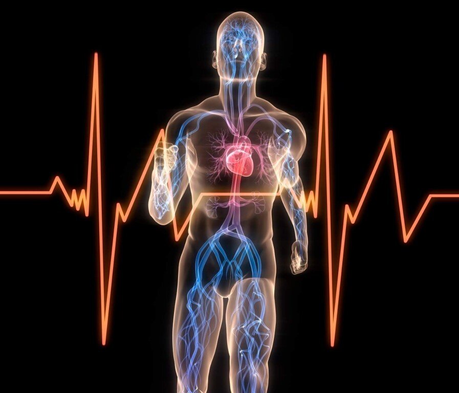 Улучшить состояние сердца после 50. Домашняя тренировка на укрепление сердечно-сосудистой системы.