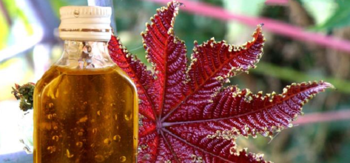 фото: https://stopmorschin.ru