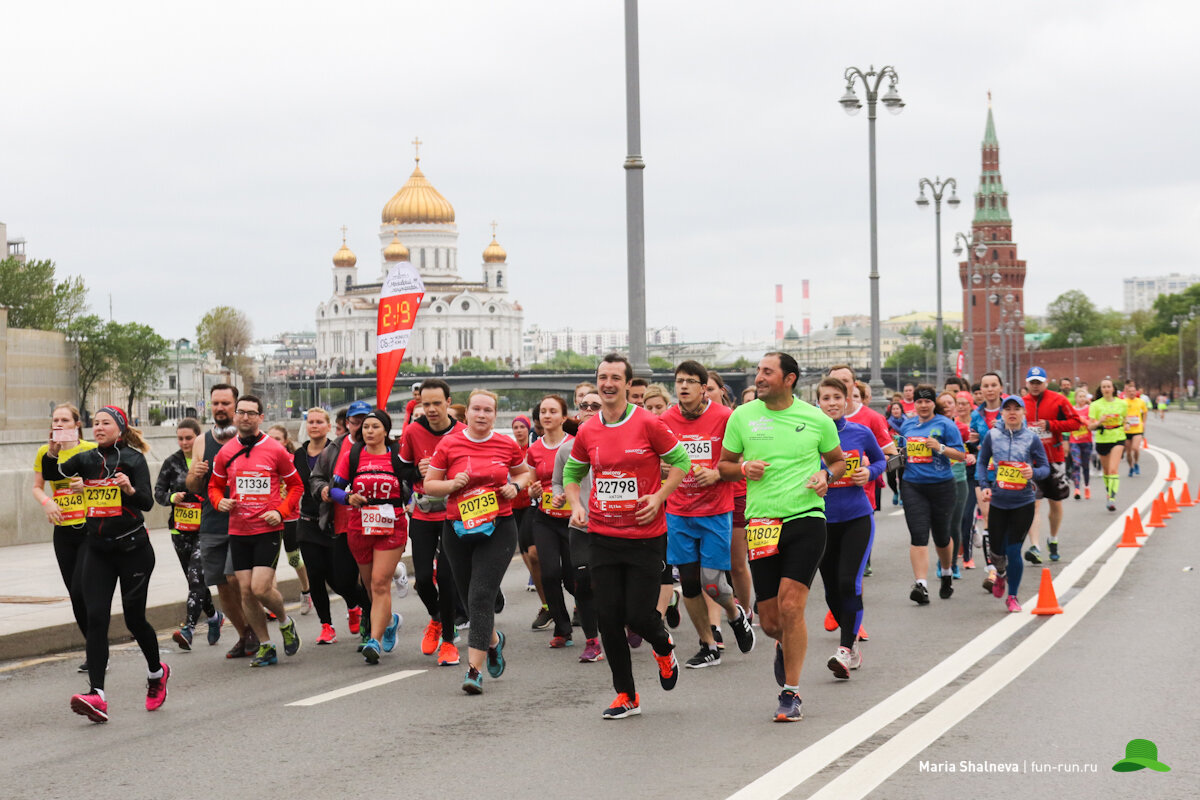 Бега в москве