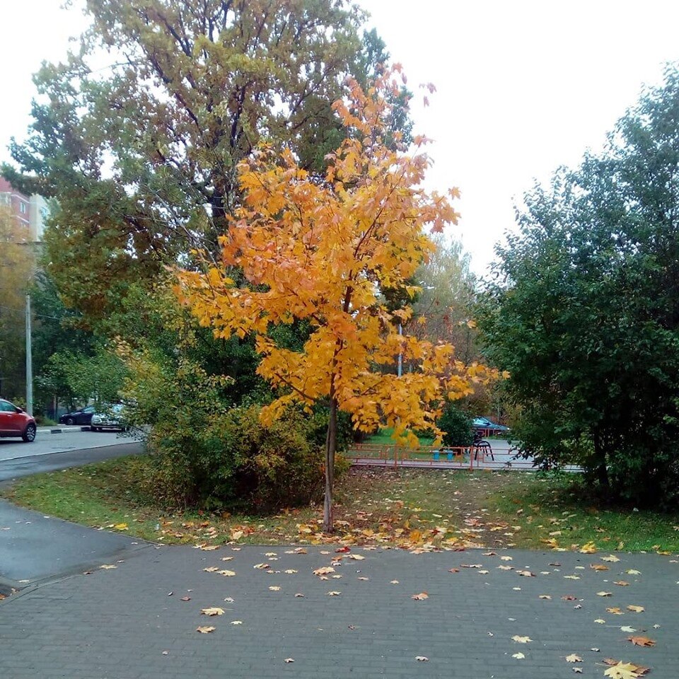 мое фото из моего инстаграма в открытом доступе в сети 