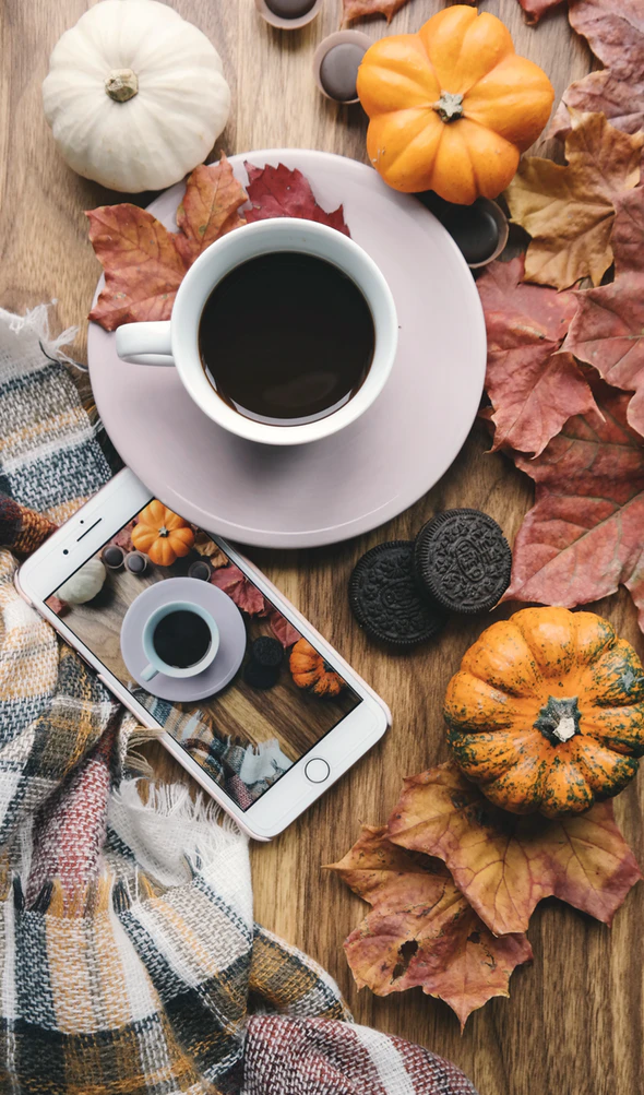https://unsplash.com/photos/Ko-boPSpCe0