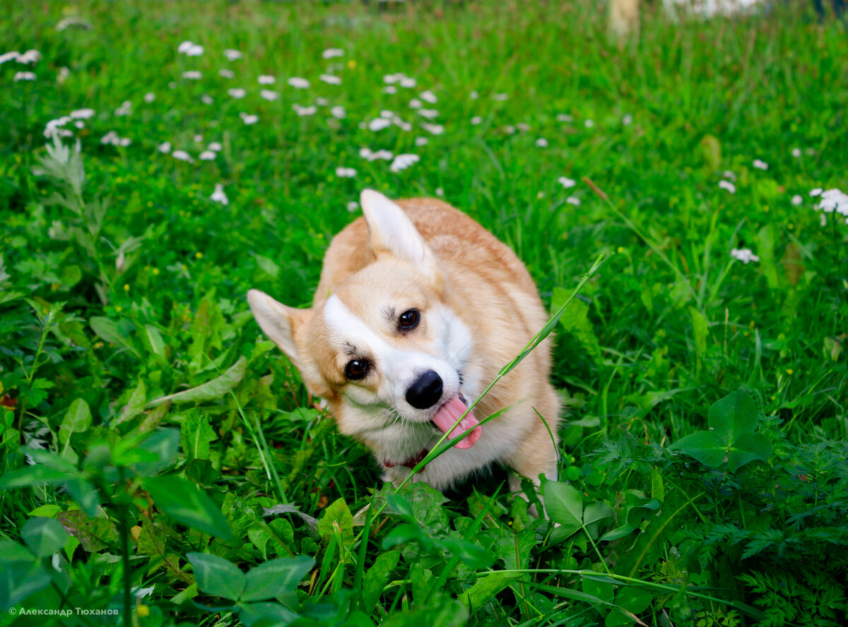 1/180с f/5.6 ISO 100 