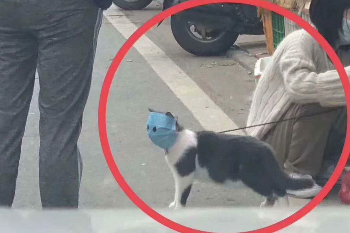 Защита от короновируса