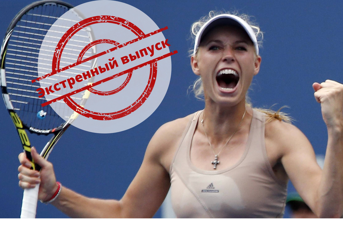 Яндекс картинки 