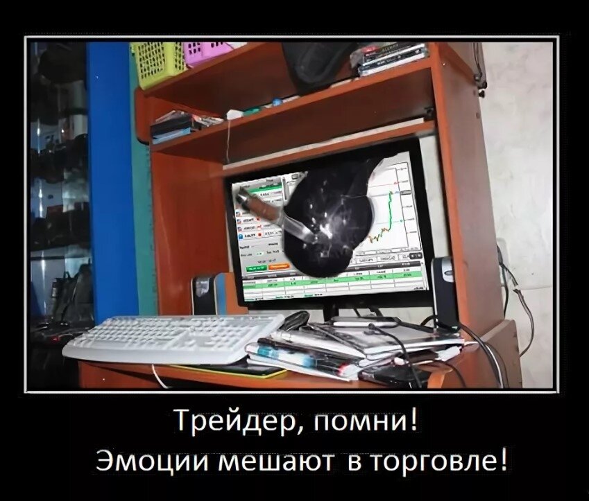 трейдер юмор. приколы трейдера. приколы трейдера. трейдер приколы. юмор трейдеров в картинках.