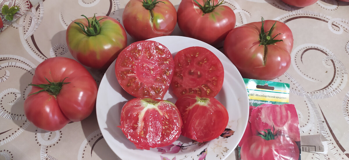 Дикая роза от Аэлиты - Альбомы - tomat-pomidor.com