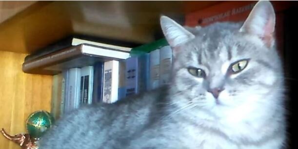 Теперь у меня есть дом