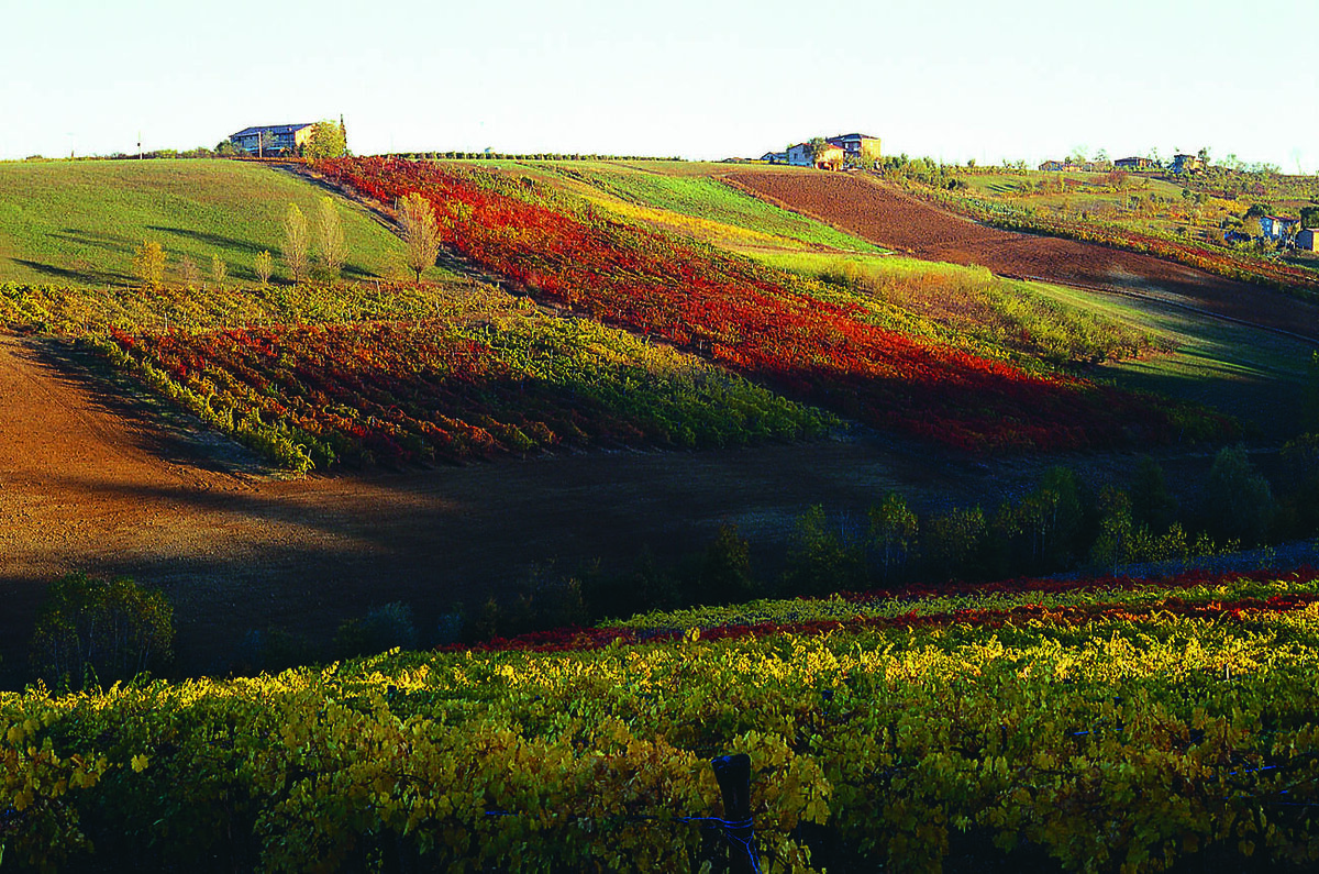 Фото: © Архив SWN