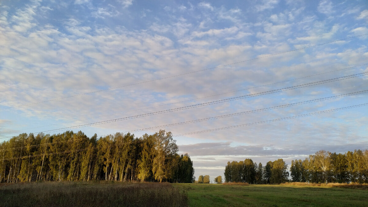 Где-то под Колыванью