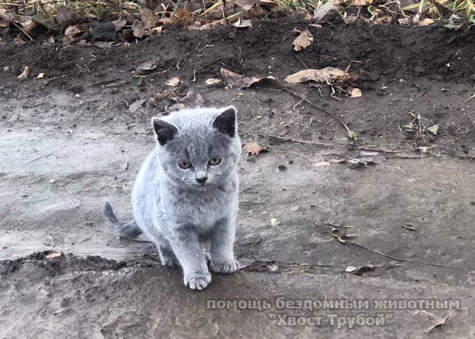 Малышня зимует по домам! Ура!!!