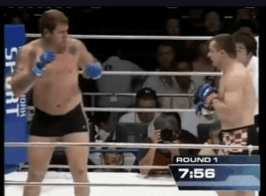 А Мирко «Кро Коп» направо и налево отправлял в нокауты своих оппонентов