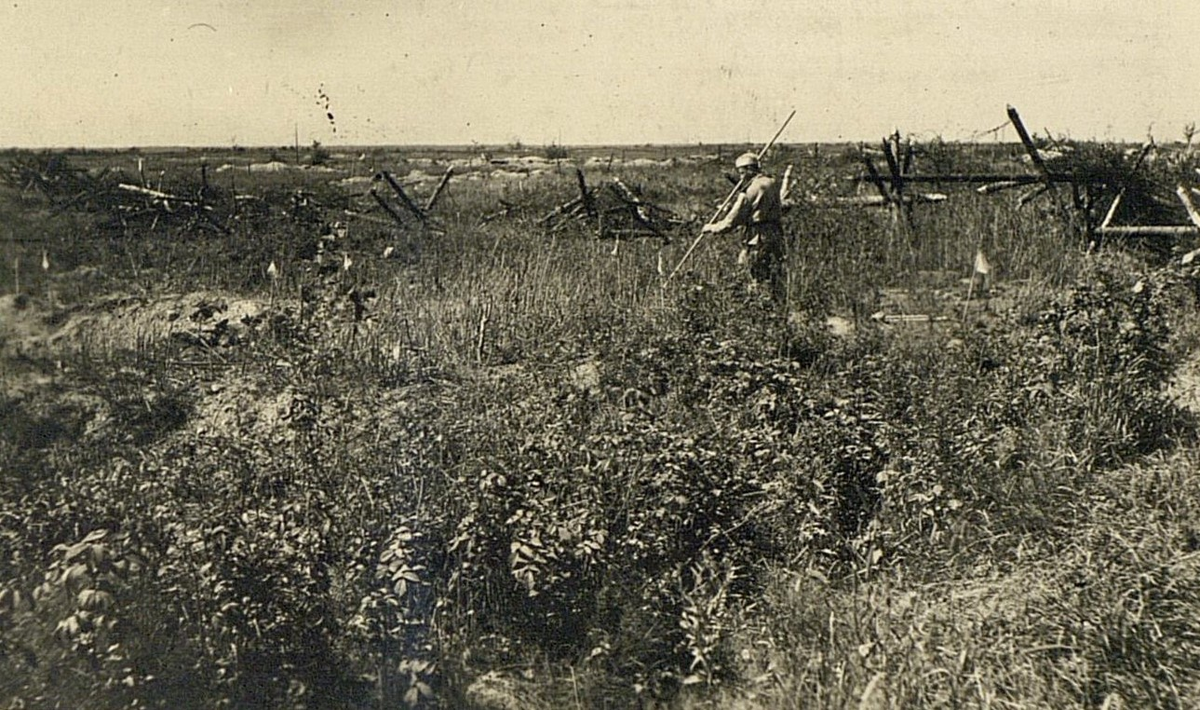 Разминирование Сестрорецка. Фотография из архива Б.Е. Ривкина.
