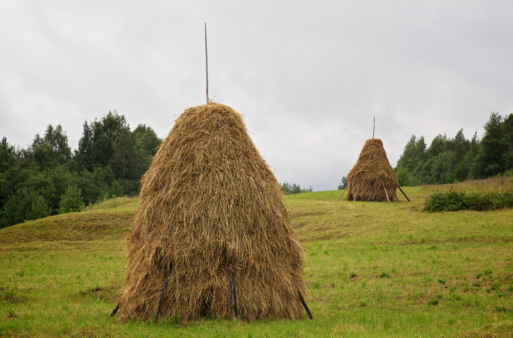 Шишом при определенных условиях могли назвать и достаточно острую верхушкой копну сена. Фото: in-w.ru