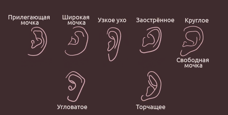 Источник: httpswww.colady.ru