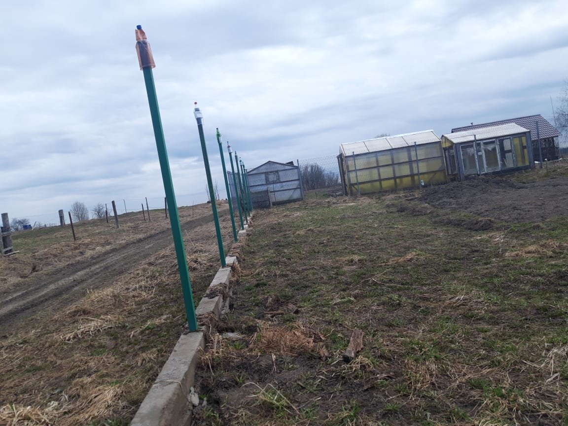 Залили бордюры бетоном