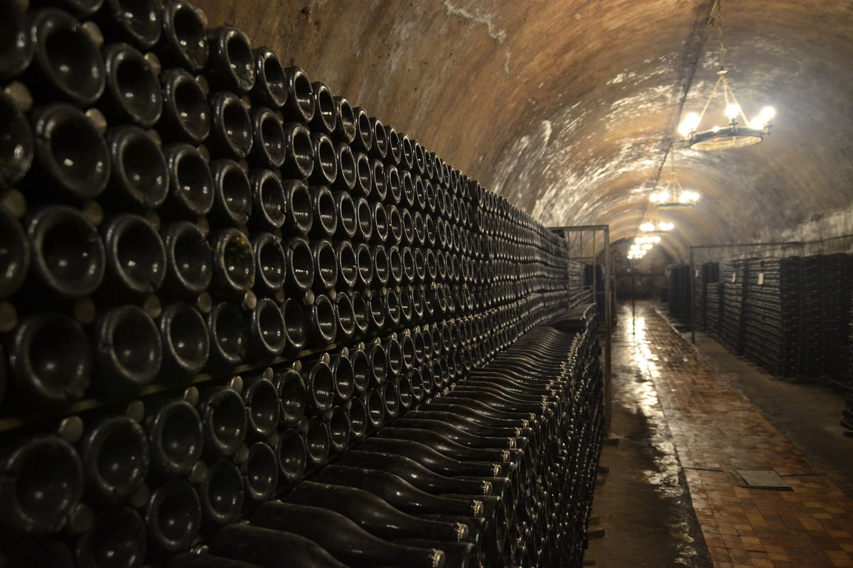 Проект винодельни на 70 тыс бутылок