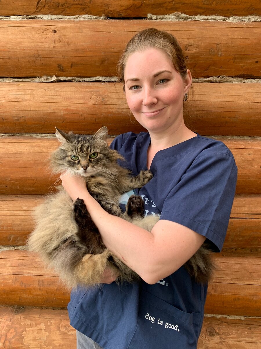 Я и кошка, которая терпеть не может обнимашки 