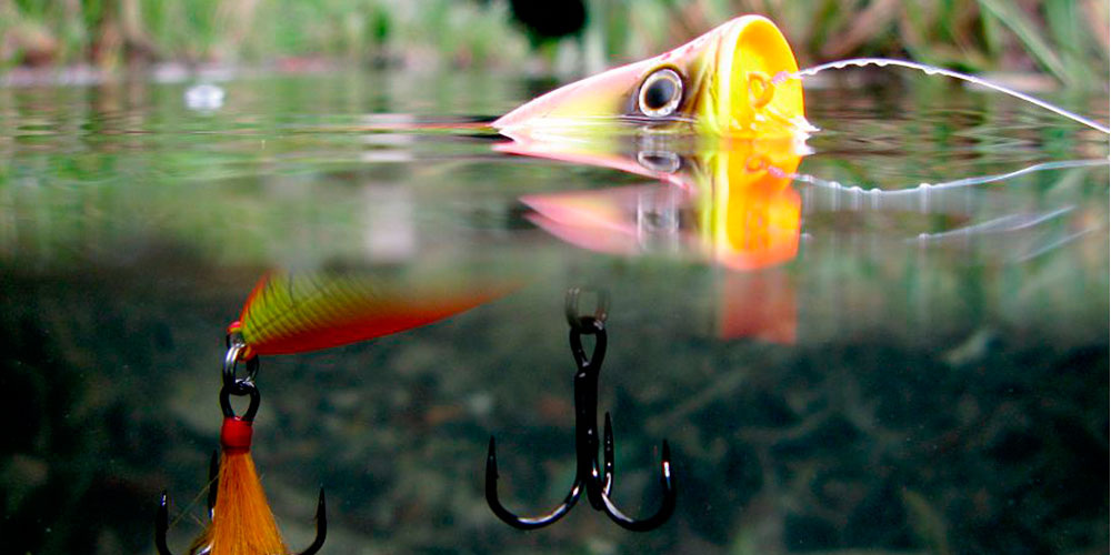 Как ловить хищника в начале лета: со спиннингом за щукой и окунем